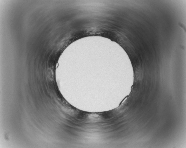 X0000099320183200805301223