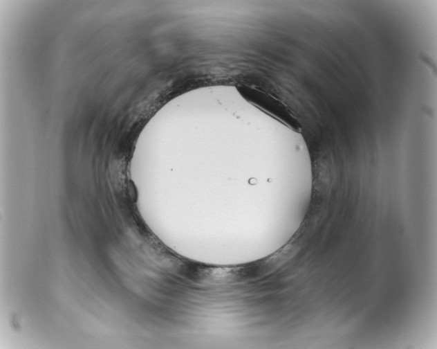 X0000099320184200805301223