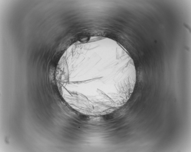 X0000099320185200805301223