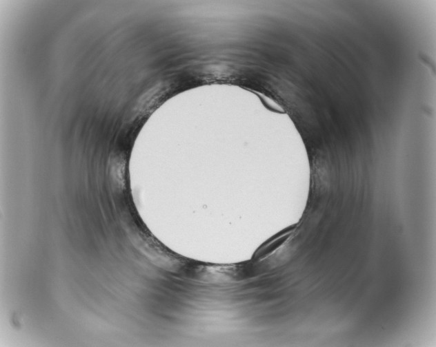 X0000099320188200805301223