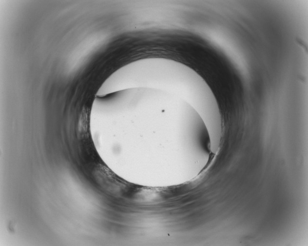 X0000099320190200805301223