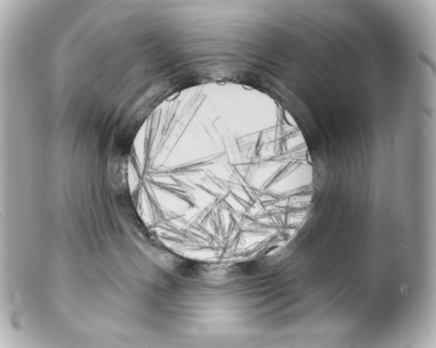 X0000099320191200805301223
