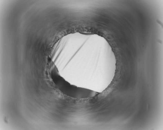 X0000099320192200805301223