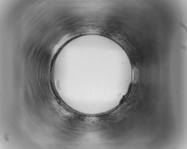 X0000099320195200805301223
