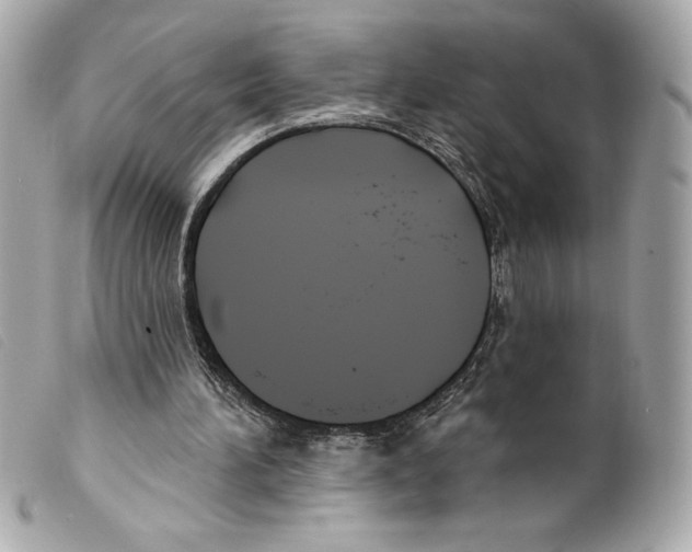 X0000099320196200805301223