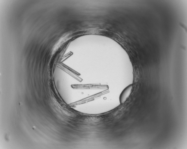 X0000099320198200805301223