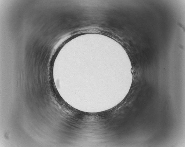 X0000099320200200805301223