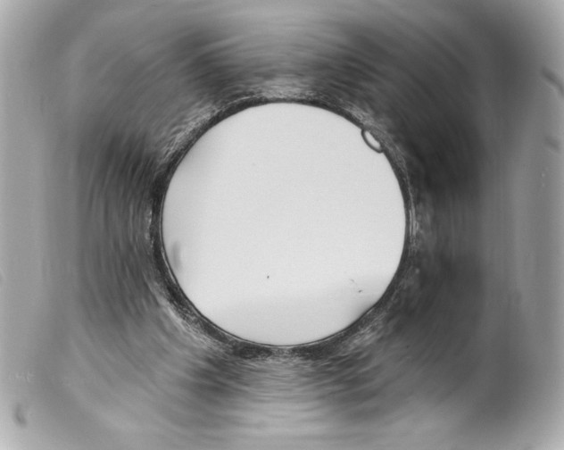 X0000099320201200805301223