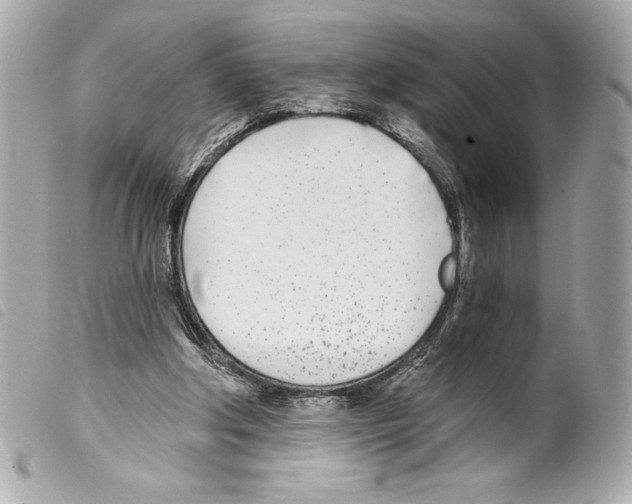 X0000099320202200805301223