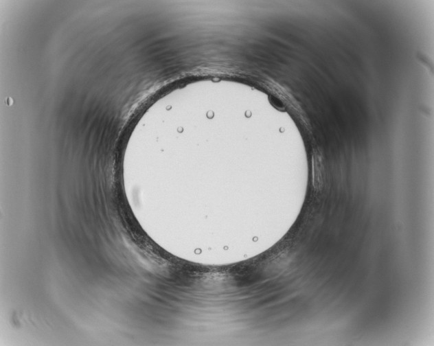X0000099320204200805301223
