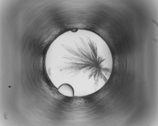 X0000099320206200805301223
