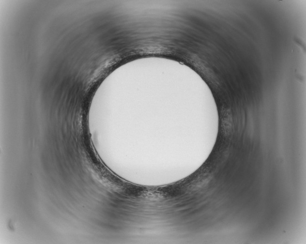 X0000099320207200805301223