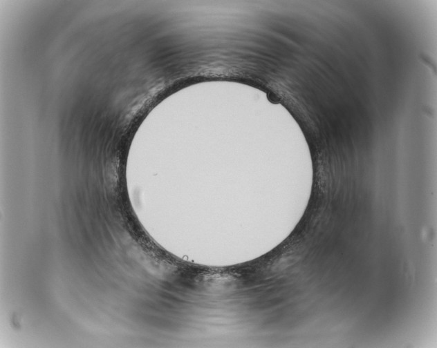 X0000099320208200805301222