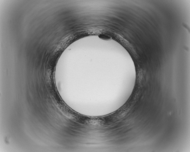 X0000099320209200805301222