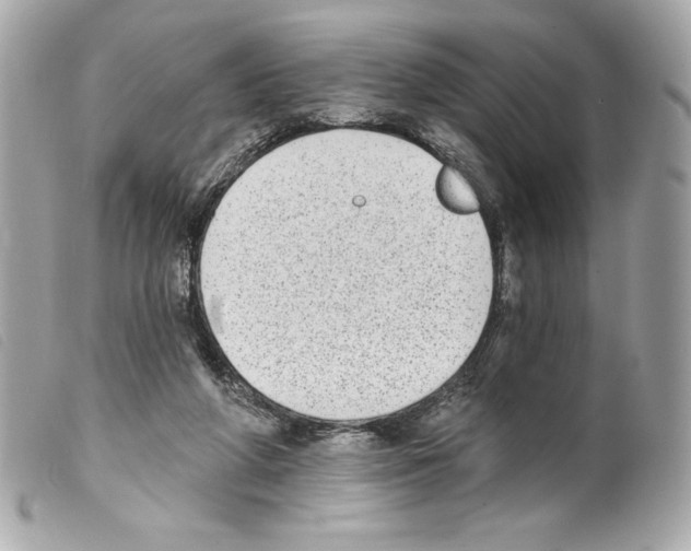 X0000099320210200805301222