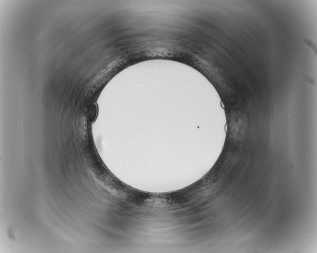 X0000099320211200805301222