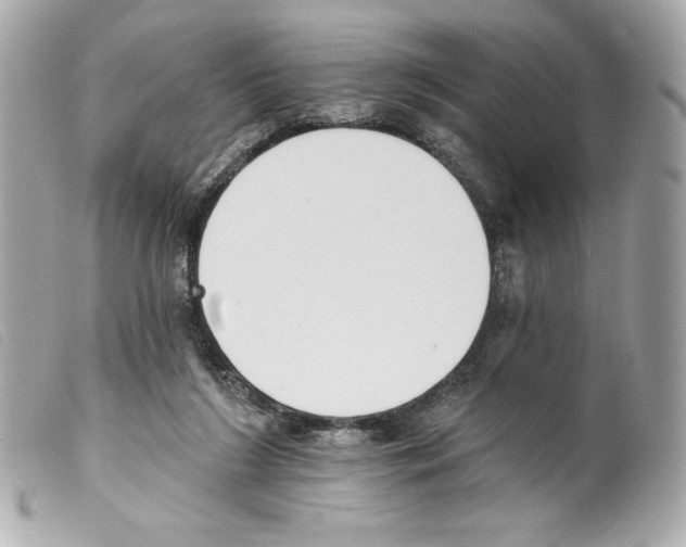 X0000099320212200805301222