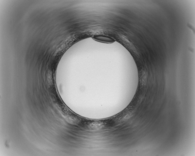 X0000099320213200805301222