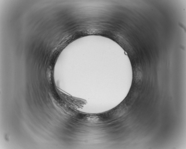 X0000099320214200805301222