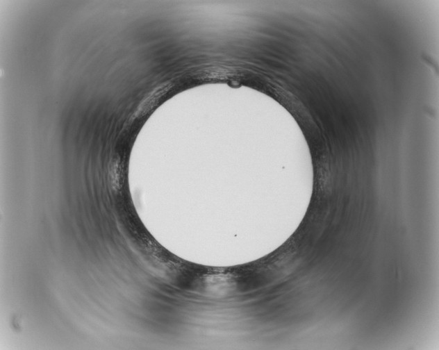 X0000099320216200805301222