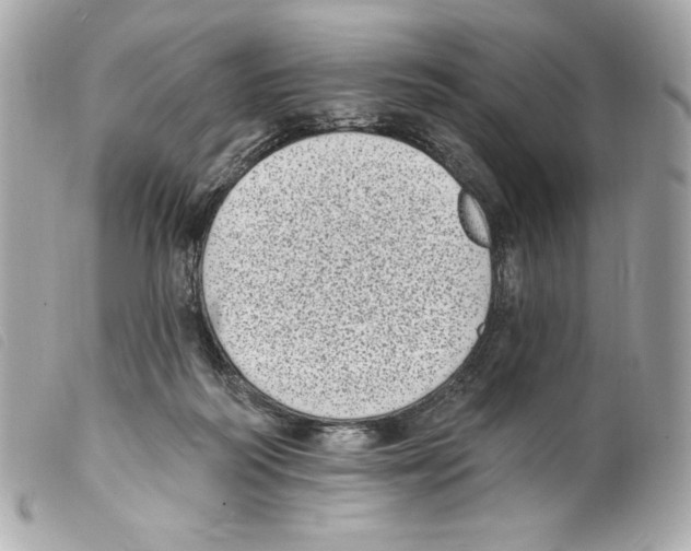 X0000099320218200805301222