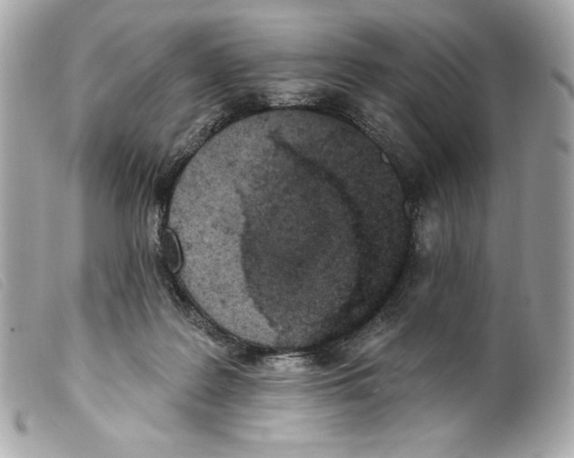 X0000099320219200805301222