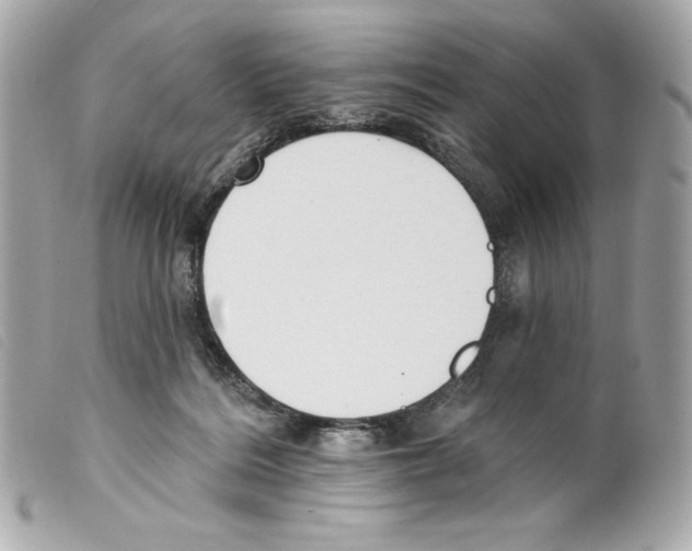 X0000099320220200805301222