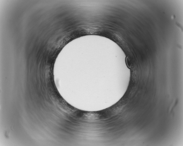 X0000099320221200805301222