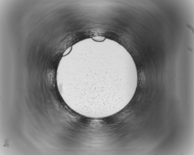X0000099320222200805301222