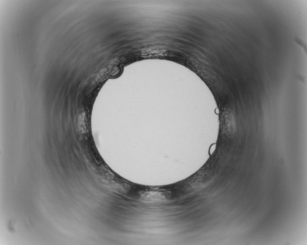 X0000099320224200805301222