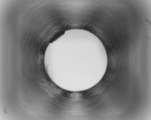 X0000099320225200805301222