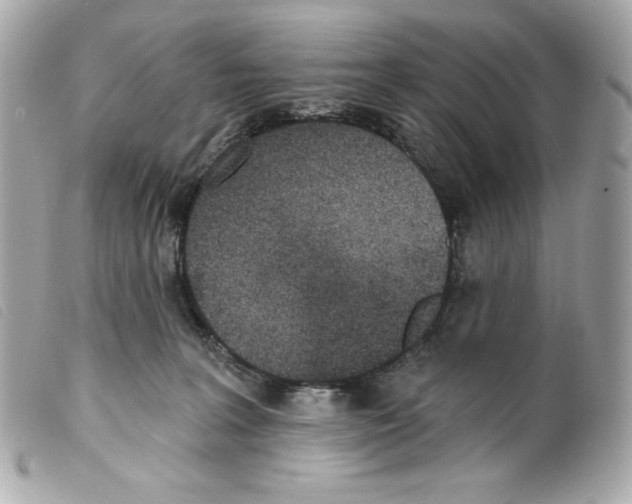 X0000099320227200805301222