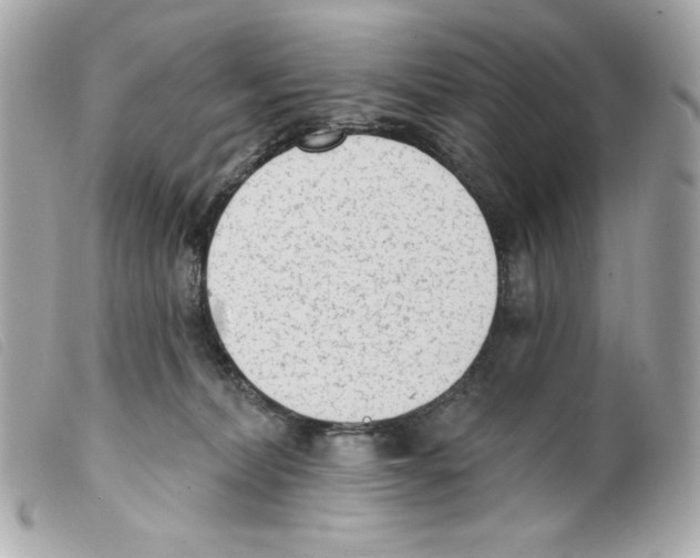 X0000099320228200805301222