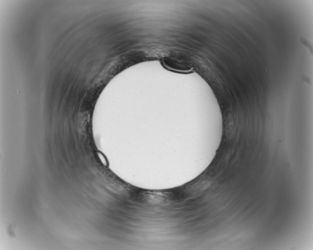 X0000099320229200805301222
