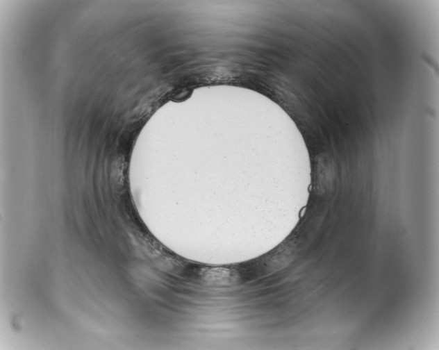 X0000099320230200805301222