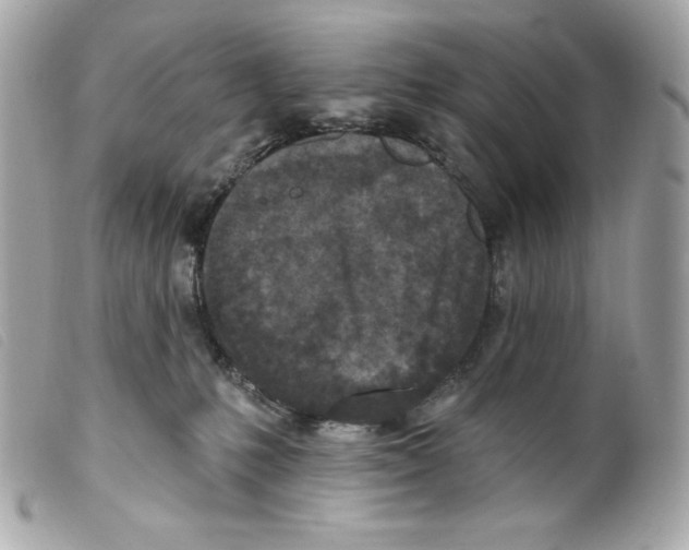 X0000099320231200805301222