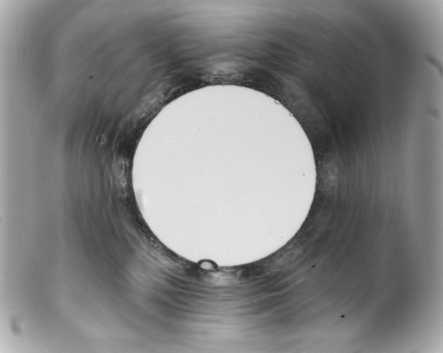 X0000099320232200805301222