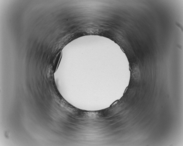 X0000099320233200805301222