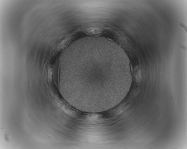 X0000099320235200805301222