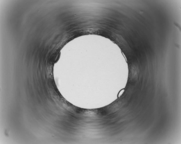 X0000099320236200805301222