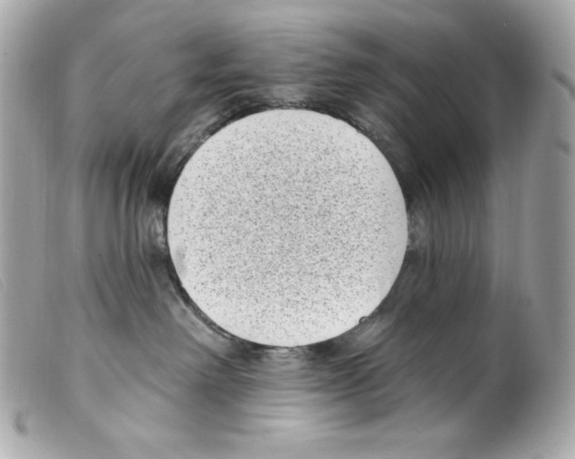 X0000099320238200805301222