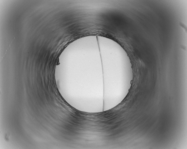 X0000099320240200805301222