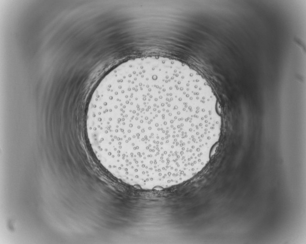 X0000099320241200805301221