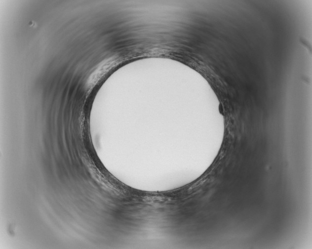 X0000099320242200805301221