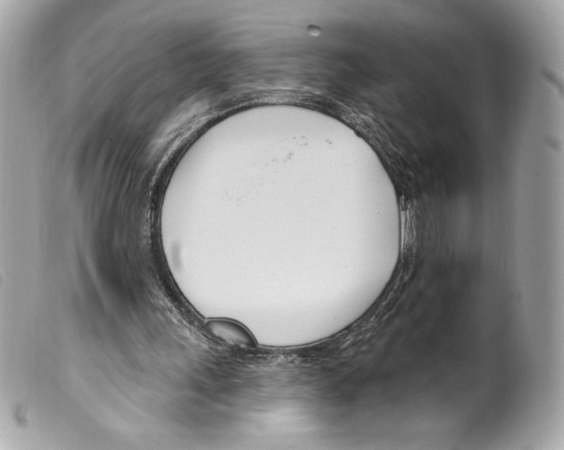 X0000099320243200805301221