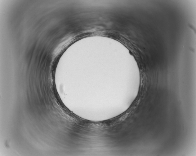 X0000099320245200805301221