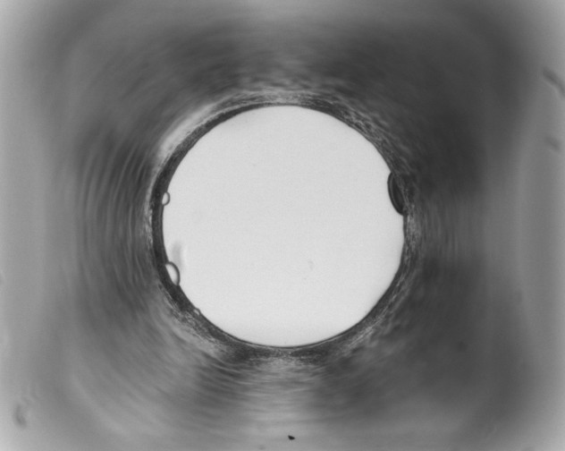 X0000099320246200805301221