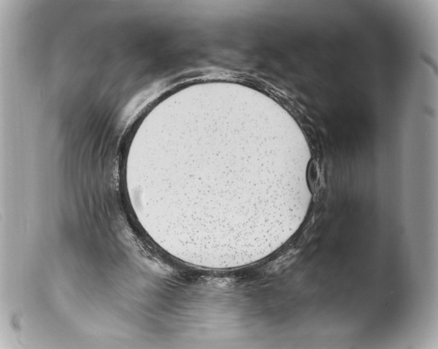 X0000099320247200805301221