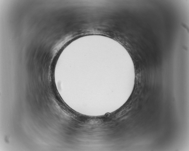 X0000099320248200805301221