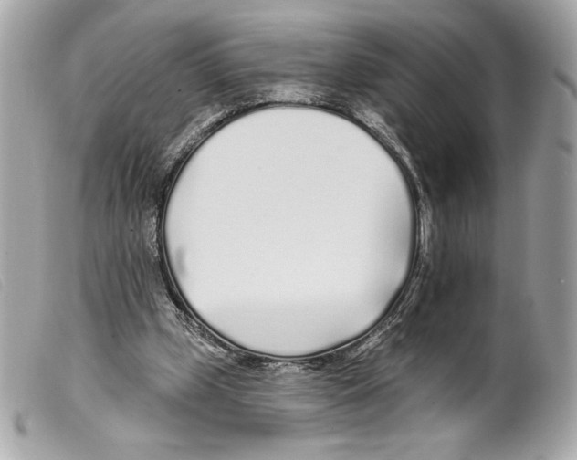 X0000099320249200805301221
